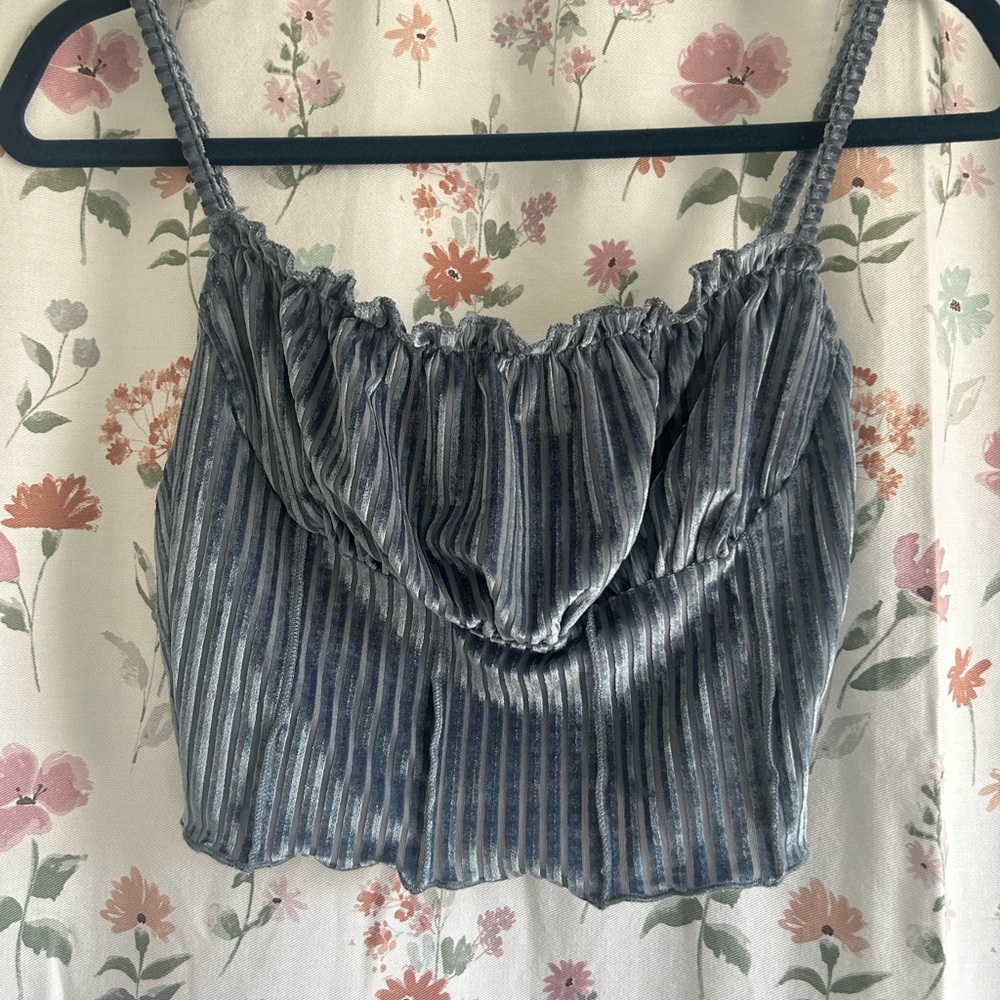 Blue Mesh and Velour Cropped Tank